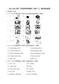 2022-2023学年广东省深圳市罗湖区三年级（上）期末英语试卷