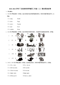 2023-2024学年广东省深圳市罗湖区三年级（上）期末英语试卷