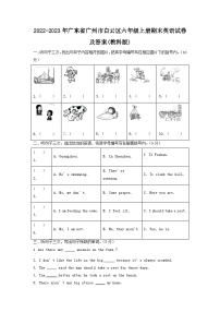 2022-2023学年广东省广州市白云区六年级上册期末英语试卷及答案(教科版)