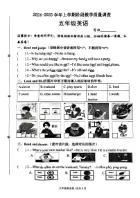 山东省临沂市兰山区2024-2025学年五年级上学期期中英语试题