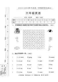 陕西省铜川市印台区部分学校2024-2025学年六年级上学期第三次月考英语试卷