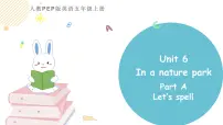 小学英语人教版PEP（2024）五年级上册Unit 6 In a nature park Part A教课内容ppt课件