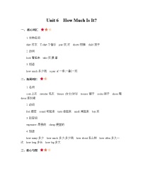 陕旅版Unit 6 How much is it?优质导学案