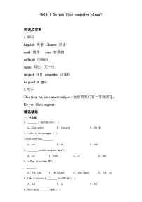 辽师大版（三起）五年级上册Unit 1 Do you like computer class?优秀学案设计