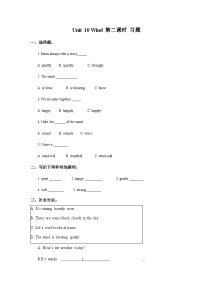 沪教牛津版(六三制一起)(2024)五年级上册Unit 10 Wind优秀第二课时练习题