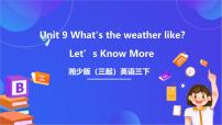 湘少版（2024）Unit 9 What's the weather like?优秀ppt课件