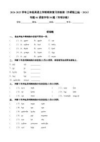 专题01 语音&字母50题（专项训练）-2024-2025学年三年级英语上学期期末复习讲练测（外研版三起·2024）