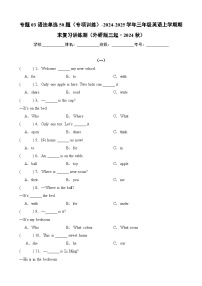 专题03 语法单选50题（专项训练）-2024-2025学年三年级英语上学期期末复习讲练测（外研版三起·2024）