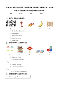 专题05 句图匹配&问答匹配50题（专项训练）-2024-2025学年三年级英语上学期期末复习讲练测（外研版三起·2024）