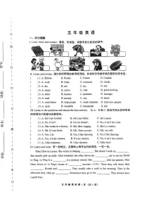 天津市河西区2024-2025年五年级上学期期末英语试题
