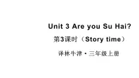 英语三年级上册（2024）Unit 3 Are you Su Hai?教学课件ppt