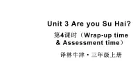 小学英语译林版（三起）（2024）三年级上册（2024）Unit 3 Are you Su Hai?教学ppt课件