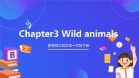 香港朗文版一年级下册3. Wild animals完整版ppt课件