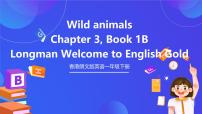 小学英语香港朗文版一年级下册3. Wild animals优质课ppt课件