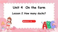 小学英语冀教版（三起）2024三年级下册（2024）Lesson2 How many ducks?教案配套ppt课件