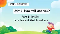人教版PEP（2024）六年级下册Unit 1 How tall are you? Part B背景图ppt课件