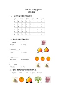 牛津译林版一年级上册Unit 5 A cherry,please达标测试