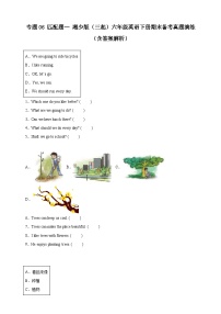 专题06 匹配题--湘少版（三起）六年级英语下册期末备考真题演练（含答案解析）