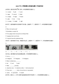 2022-2023学年湖南省岳阳市岳阳县人教PEP版六年级下学期6月期末英语试卷（无听力材料）(原卷版+解析)