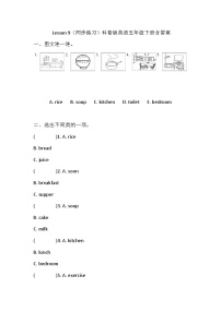 小学英语科普版（2024）五年级下册Lesson 9 Do you always have lunch at twelve?精品综合训练题