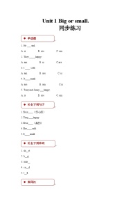 粤人版(儿童英语&先锋&开心)开心学英语三年级下册Unit 1.Big or Small优秀同步达标检测题