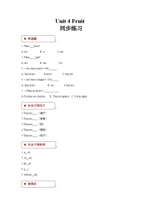 粤人版(儿童英语&先锋&开心)开心学英语三年级下册Unit 4.Fruit优秀随堂练习题