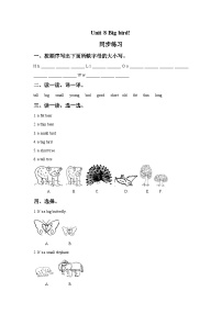 小学英语北师大版 (一年级起点)三年级下册Unit 8 Big bird优秀课堂检测