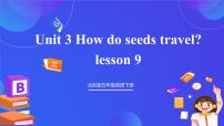 北京版（2024）五年级下册Lesson 9精品课件ppt