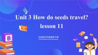 英语北京版（2024）Unit 3 How do seeds travel?Lesson 11一等奖ppt课件