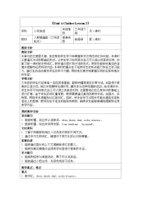 小学英语人教精通版（2024）三年级下册（2024）Lesson 2教案