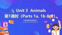 英语外研剑桥版Unit 3 Animals获奖ppt课件