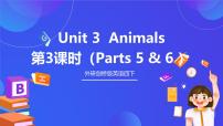 外研剑桥版四年级下册Unit 3 Animals优秀ppt课件