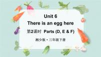 小学英语湘少版（2024）三年级下册（2024）Unit 6 There is an egg here课前预习课件ppt