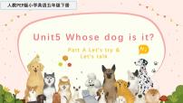 人教版PEP（2024）五年级下册Unit 5 Whose dog is it? Part A教学课件ppt