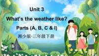 湘少版（2024）三年级下册（2024）Unit 3 What's the weather like?教学课件ppt