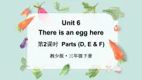 湘少版（2024）Unit 6 There is an egg here课文配套ppt课件