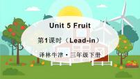 牛津译林版三年级下册Unit  5  How old are you?课文配套课件ppt