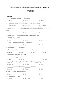 专项2：冠词 （含答案 解析）--2024-2025学年六年级小升初英语语法练习[江苏省专用]（译林三起）