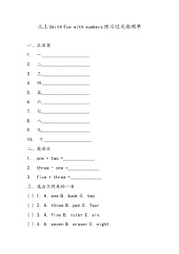 小学外研版（三起）2024Unit 4 Fun with numbers精品课堂检测