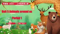 小学英语科普版（2024）三年级上册（2024）Unit 5 Animals around us备课ppt课件