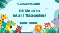 鲁科版 (五四制)2024Lesson 1 These are lions图文ppt课件