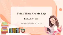 陕旅版（2024）三年级下册（2024）Unit 2 These Are My Legs精品ppt课件