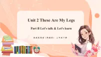 陕旅版（2024）三年级下册（2024）Unit 2 These Are My Legs精品ppt课件