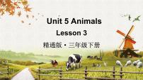 英语Unit 5 Animals Lesson 3背景图ppt课件