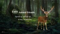 英语三年级下册（2024）Unit 1 Animal friends教学课件ppt