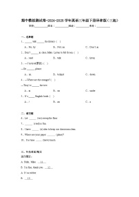 期中模拟测试卷-2024-2025学年英语三年级下册译林版（三起）