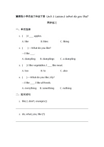 英语三年级下册（2024）Lesson1 What do you like?课时练习