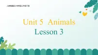 人教精通版（2024）三年级下册（2024）Unit 5 Animals Lesson 3完整版ppt课件