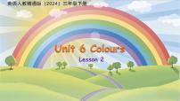人教精通版（2024）Unit 6 Colours Lesson 2说课课件ppt