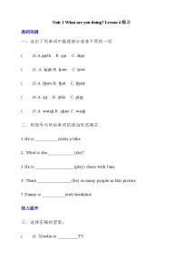 北京版（2024）五年级下册Lesson 4精品同步测试题